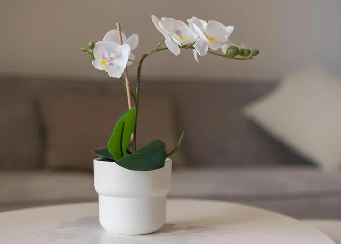 Apartment Home2book With Pool Near Beaches In