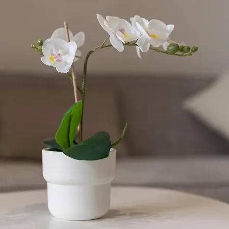 Apartmán Home2book With Pool Near Beaches In